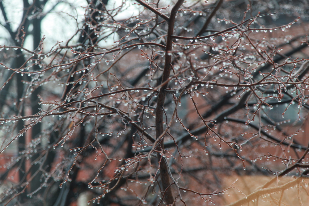 Il pleuvait, ça collait aux arbres, je suis resté au chaud à l'intérieur.
— New York, Décembre 2016