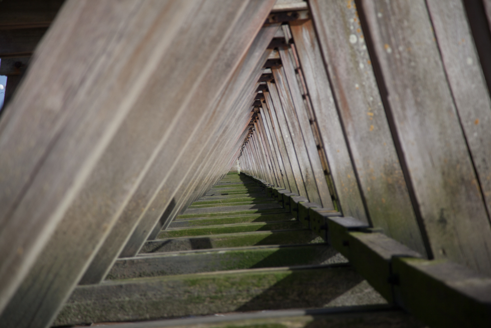 Les triangles de la structure en bois s'enchaînent à l'infini, ou presque.
— Normandie, Mai 2015