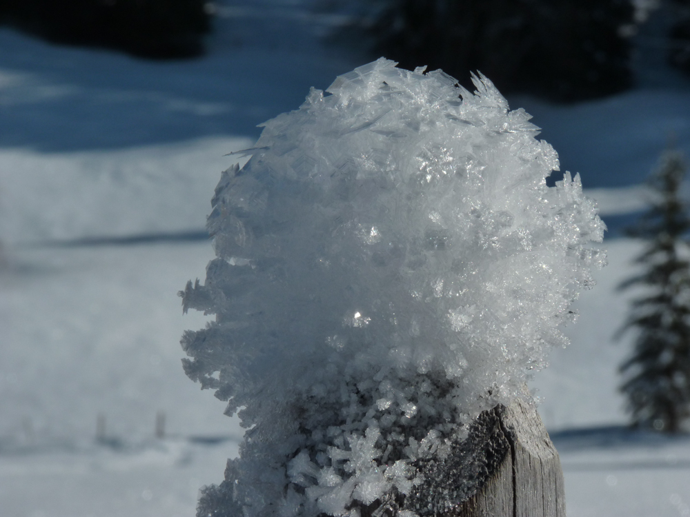 L'une de mes photos d'hiver préférées.
— Les Diablerets, Janvier 2011
