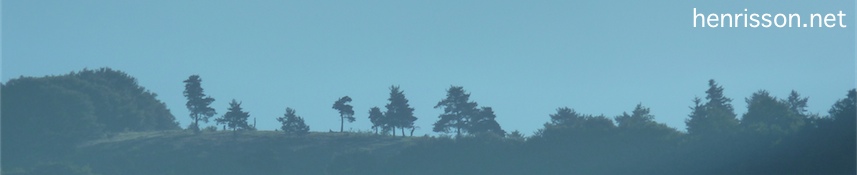 top banner