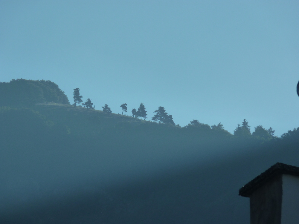On était partis très tôt pour éviter le soleil, il faisait encore frais. En haut, la cime vers laquelle nous marchions était dans la brume.

— Aspres, Juillet 2010;