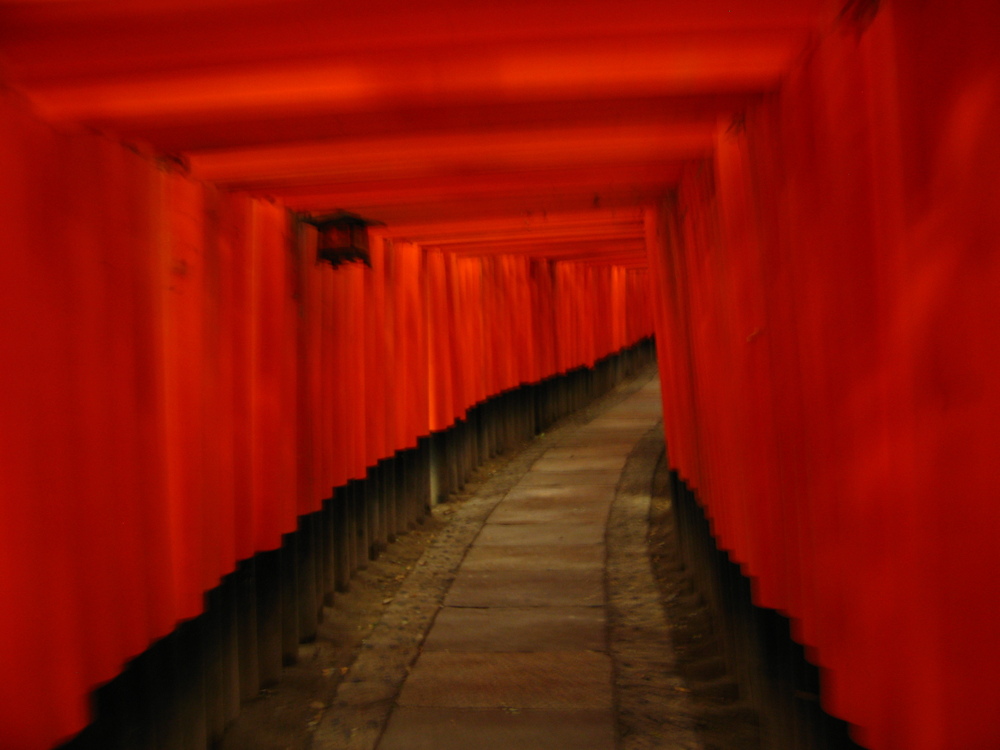 Je me rappelle que ça montait, pas beaucoup plus. J'ai d'autres photos, nettes celles-là, mais c'est celle-ci que je préfère.

Kyoto, Japon;